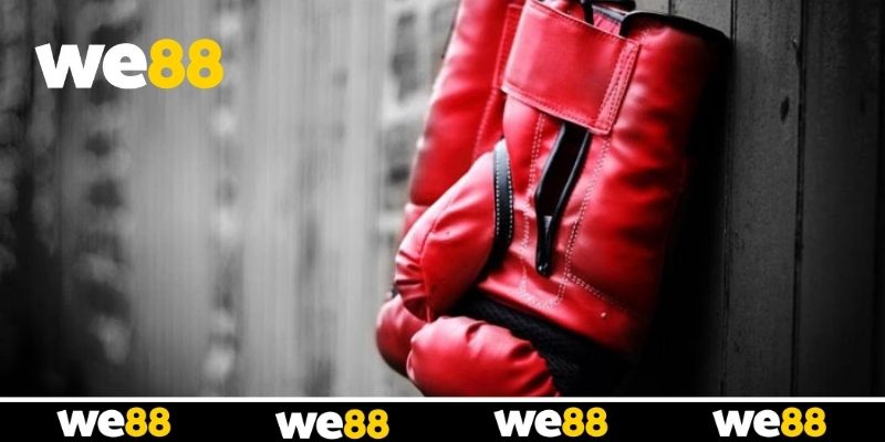 Mẹo cá cược boxing WE88 luôn thắng từ cao thủ Mẹo cá cược boxing WE88 luôn thắng từ cao thủ