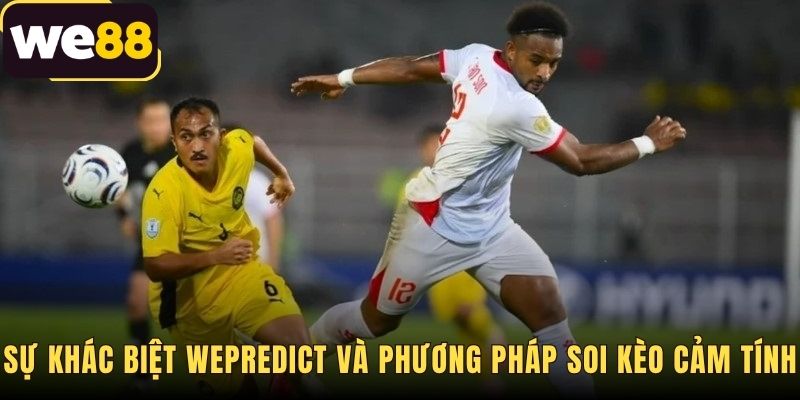 Dữ liệu WEPreidct minh bạch loại bỏ yếu tố cảm xúc